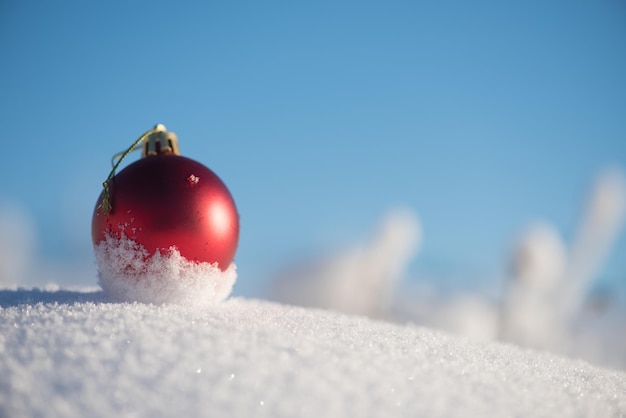 Weihnachtsdekoration mit roten Kugeln im frischen Schneehintergrund an einem schönen sonnigen Wintertag