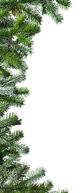 Weihnachtsdekoration mit Schneebäume
