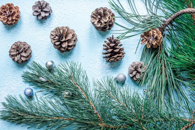 Weihnachtsdekoration Zweig Weihnachtsbaum und Zapfen Fichte auf Schnee Draufsicht flach liegen