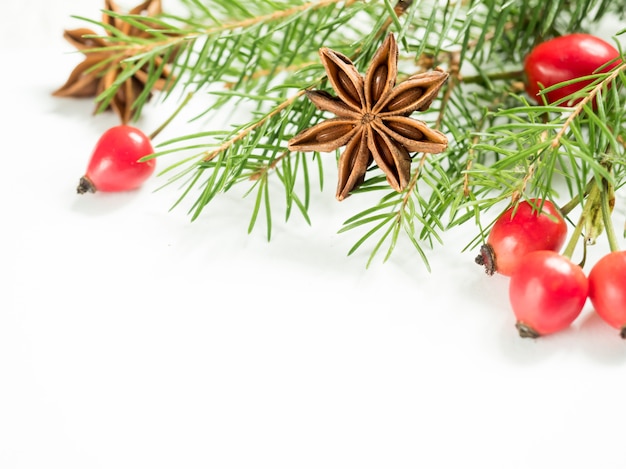 Weihnachtsdekorationen auf Weiß, Beerenhagebutten, Sterne, Tannenzweige.