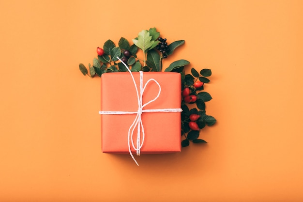 Weihnachtsgeschenk. Besonderen Anlass. Geschenkbox. Hagebuttenanordnung