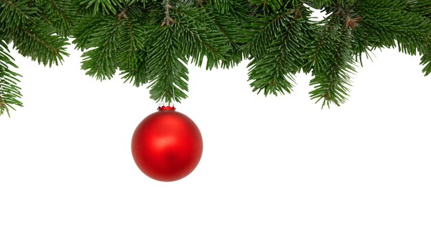 Weihnachtsgrußkarte Weihnachtskugel hängt an einem Tannenzweig isoliert auf weißem, transparentem Hintergrund