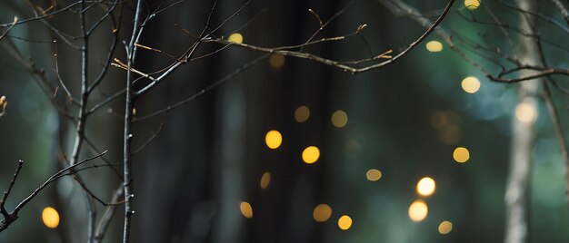 Foto weihnachtshintergrund mit bokeh-leuchten und kiefernzweigen
