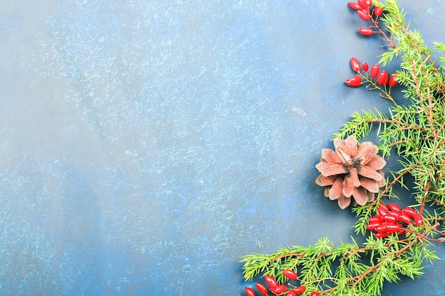 Weihnachtshintergrund mit roten Berberitzenbeeren und Fichtenzweigen.