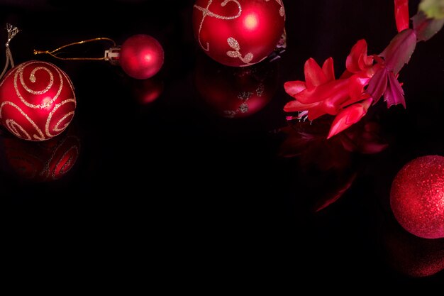 Weihnachtshintergrund mit roter Verzierung, roter Weihnachtskugel und blühender roter Weihnachtskaktus schlumbergera, goldenes Band auf schwarzem Hintergrund