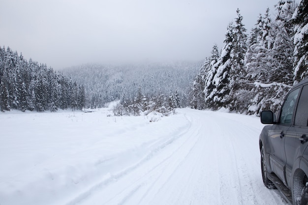 Weihnachtshintergrund mit schneebedeckten Tannenbäumen, schöne Winterberglandschaft