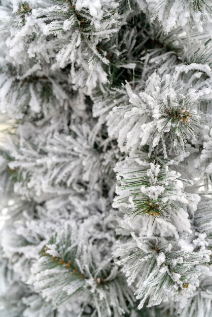 Weihnachtshintergrund - Niederlassungen, Schnee.