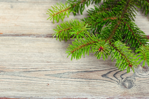 Weihnachtskieferniederlassungen auf hölzernem Brett