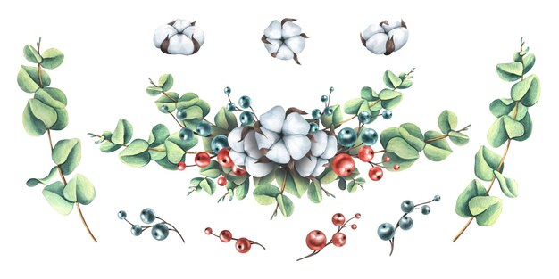 Foto weihnachtskomposition aus eukalyptuszweigen mit baumwolle und beeren. aquarell-illustration handgezeichnet. satz isolierter elemente auf weißem hintergrund