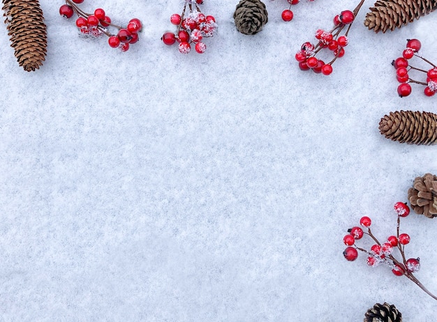 Weihnachtskomposition mit roten Beeren und Tannenzapfen Winter flatlay Neujahrskonzept Draufsicht