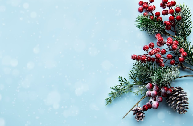 Weihnachtskomposition mit schneebedeckten Tannenzweigen auf blauem Pastellhintergrund