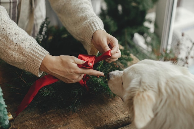 Weihnachtskranz machen Frau zusammen mit süßem weißen Hund, der den Kranz mit rotem Band schmückt