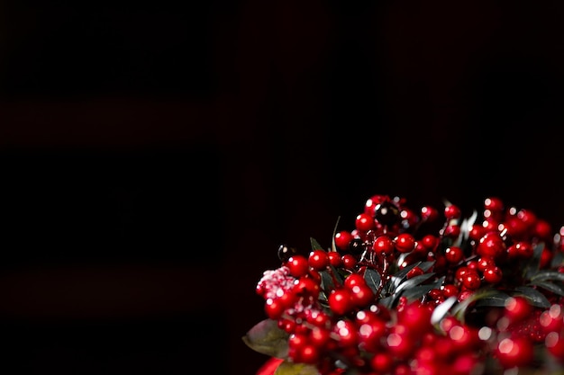 Weihnachtskranz mit roten Beeren auf dunklem Hintergrund, Weihnachtshintergrund. Foto in hoher Qualität