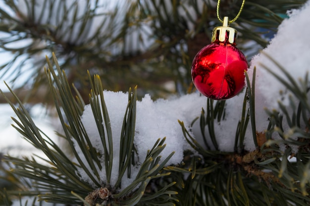 Weihnachtskugel auf dem Hintergrund eines schneebedeckten Tannenbaums neues Jahr