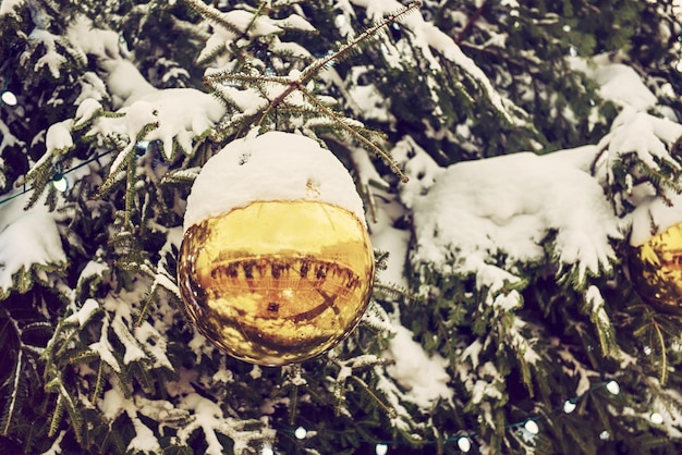 Weihnachtskugel auf einem Baum