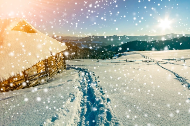 Weihnachtslandschaft Menschlicher Fußabdruck Pfad im weißen tiefen Schnee in einer kleinen hölzernen Hirtenhütte Fichtenwald holzige dunkle Bergkette große Schneeflocken auf klarem blauen Himmel kopieren Raum Hintergrund