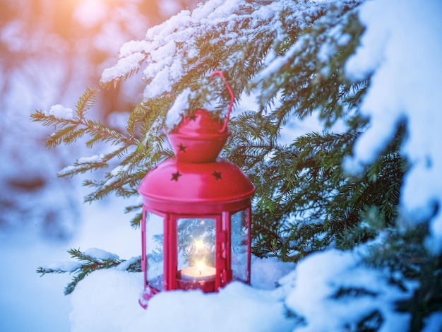 Weihnachtslaterne auf Tannenzweigen mit Schnee