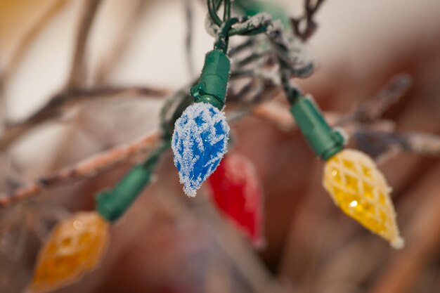 Weihnachtslicht am Baum.