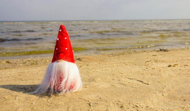 Weihnachtsmann mit einem Neujahrsbaum an einer sandigen Küste Das Konzept der Neujahrsferien in warmen Ländern