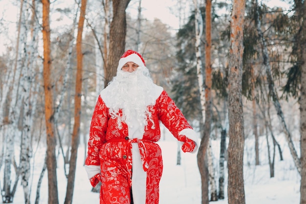 Weihnachtsmann mit langem weißen Bart, der im Winterwald spaziert