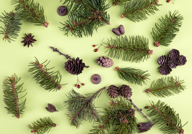 Weihnachtsnaturmuster mit Tannenbaumzweigen Vogelbeeren-Kiefernzapfen und leuchtend rotem Physalis auf ...