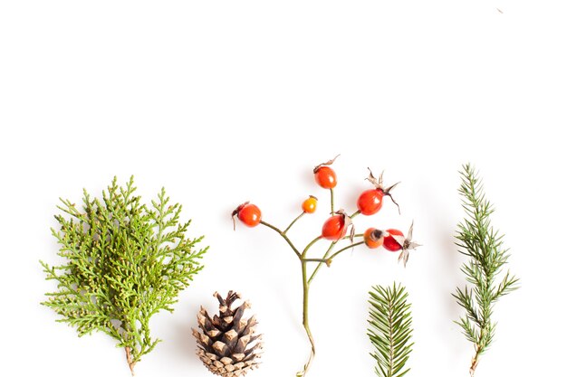 Weihnachtspflanzen über weißem Hintergrund. Flaches Wald- und Naturkonzept