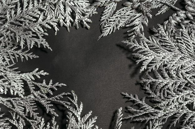 Weihnachtsrahmenzusammensetzung mit silbernen Thujazweigen vor schwarzem Hintergrund. Draufsicht, flach mit Kopienraum.