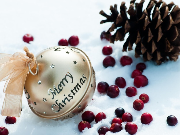 Weihnachtsschmuck im Schnee mit Tannenzapfen und Preiselbeeren.