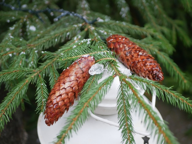 Weihnachtsschmuck mit Zapfen. Foto in hoher Qualität