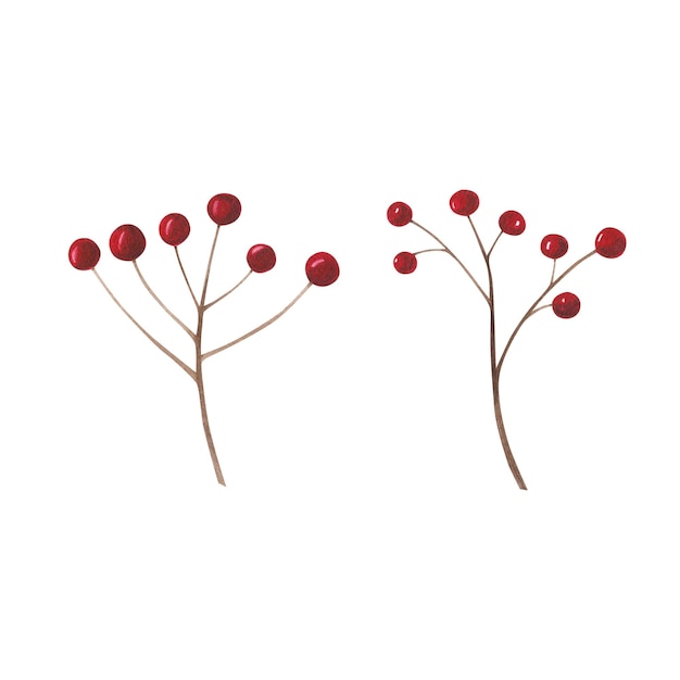 Weihnachtsset Zweig mit roten Beeren isoliert auf weiß Aquarell handgezeichnete Weihnachtsillustration Kunst für Grußkarte