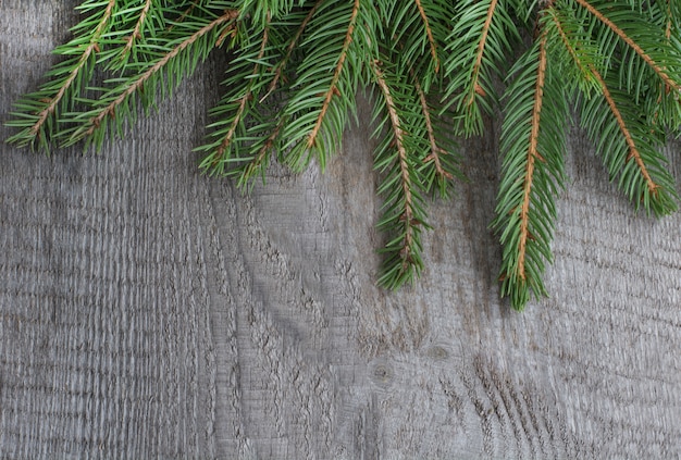 Weihnachtstannenbaum auf hölzernem Brett.