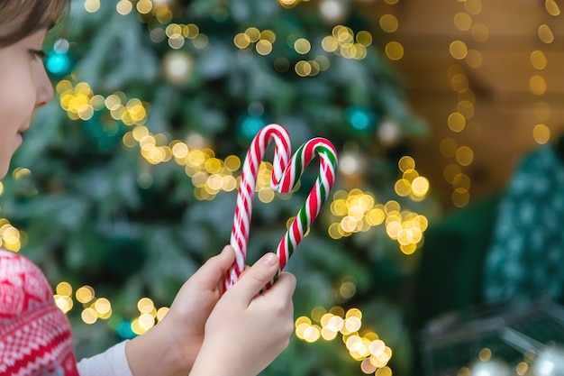 Weihnachtszuckerstangen in den Händen eines Kindes. Selektiver Fokus. Urlaub.