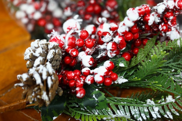 Weihnachtszweig Ebereschenzapfen und Schnee.