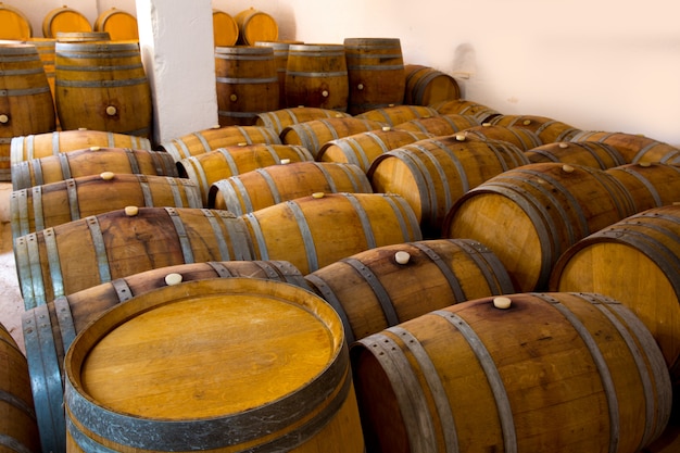 Wein aus Holz Eichenfässern in Weingut