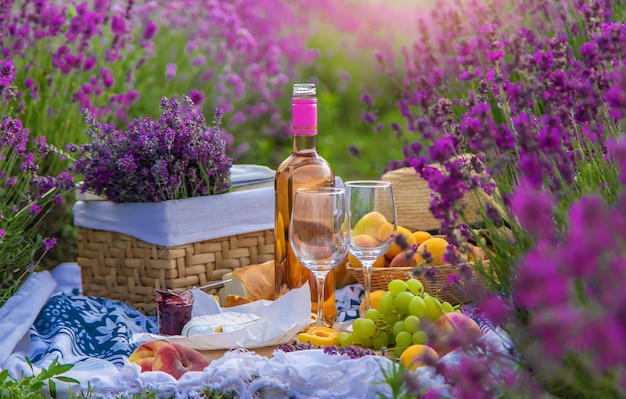 Wein in einem Lavendelfeld Selektiver Fokus