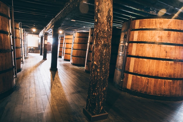 Wein in Holzfässern zur Reifung im Keller gelagert