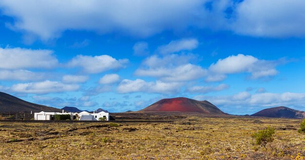 Weinbau Weingut Lanzarote