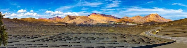 Weinberg La Geria auf vulkanischem Boden. Malerische Landschaft mit vulkanischen Weinbergen. Lanzarote.Kanarische Insel