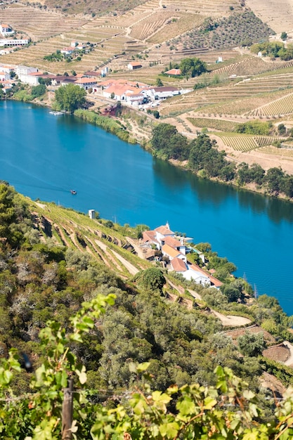 Foto weinberge im douro-fluss alto douro-weindal