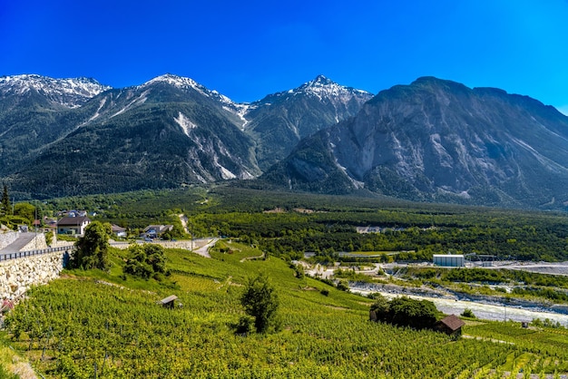 Weinberge und Fluss im Schweizer Alpental Leuk Visp