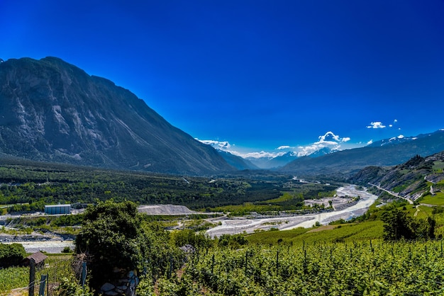 Weinberge und Fluss im Schweizer Alpental Leuk Visp