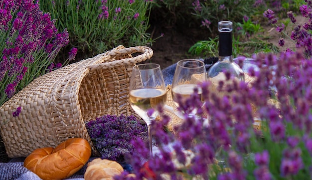 Weinfrüchte Beeren Käsegläser Picknick im Lavendelfeld Selektiver Fokus