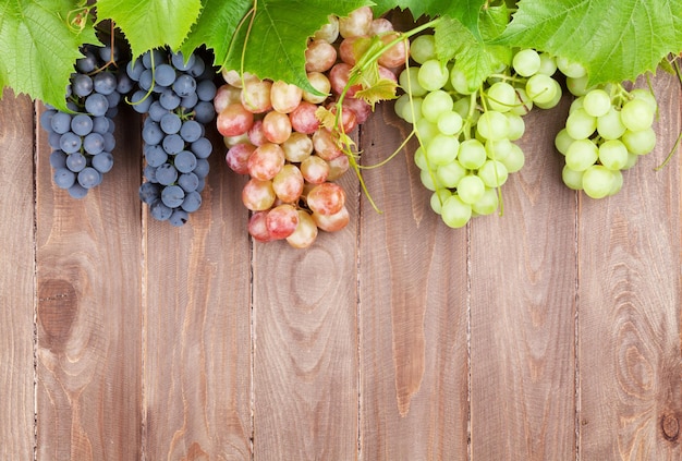 Weintraube und Weinrebe auf Holztisch