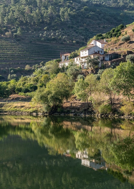 Weiß getünchtes altes Quinta- oder Weinberggebäude am Ufer des Flusses Douro in Portugal in der Nähe von Pinhao