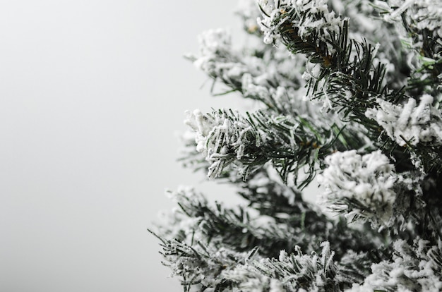 Weiß mit fichtengrünen Tannenzweigen und Schnee.