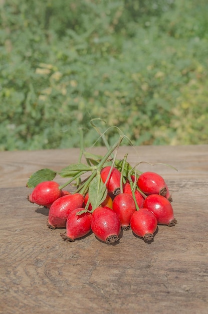 Weißdorn auf rustikalem Holztisch Hintergrund Hagebutten haw Frucht der Hundsrosen