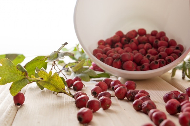 Weißdornbeeren in der weißen Schüssel auf dem Holztisch