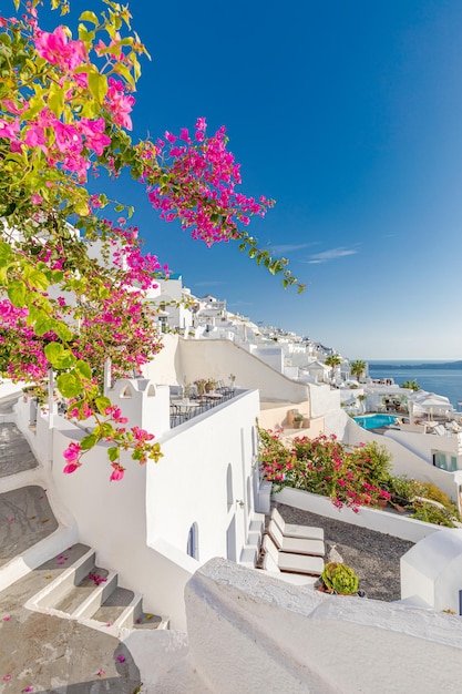 Weiße Architekturreise Insel Santorini, Griechenland. Schöne Sommerlandschaft, Sonnenunterganghimmel mit Meerblick