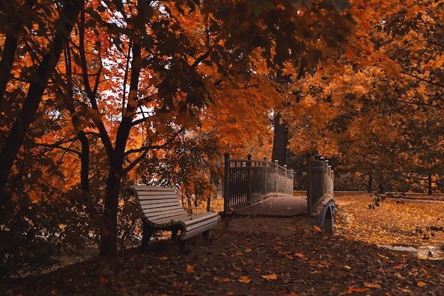 Weiße Bank in der Nähe der Brücke in einem dunklen Herbstpark viele Blätter auf dem Boden
