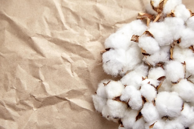 Foto weiße baumwollpflanzenblumen auf zerknittertem kraftpapierbeschaffenheitshintergrundnahaufnahme